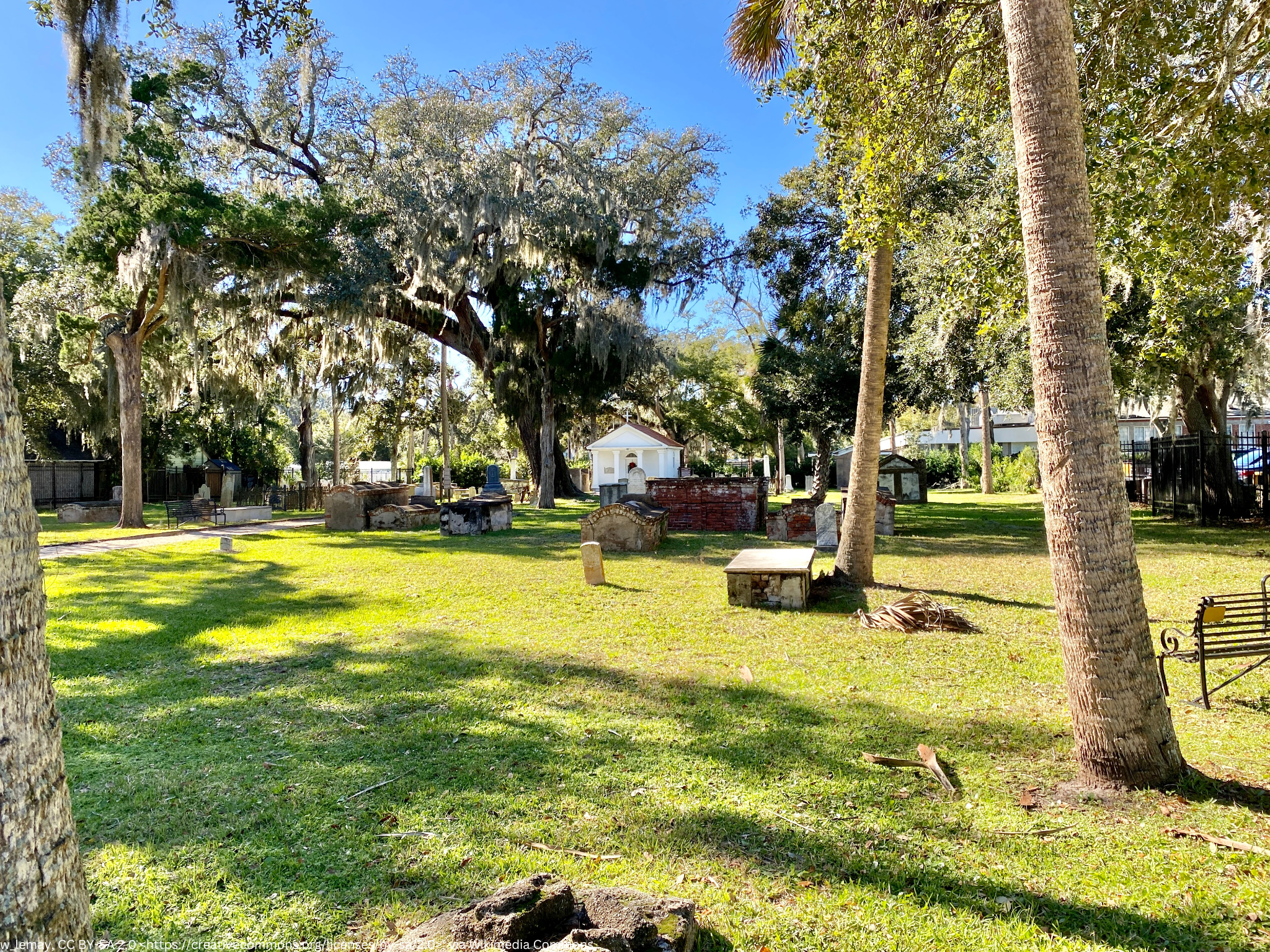 3 joyful kids playing in the snow