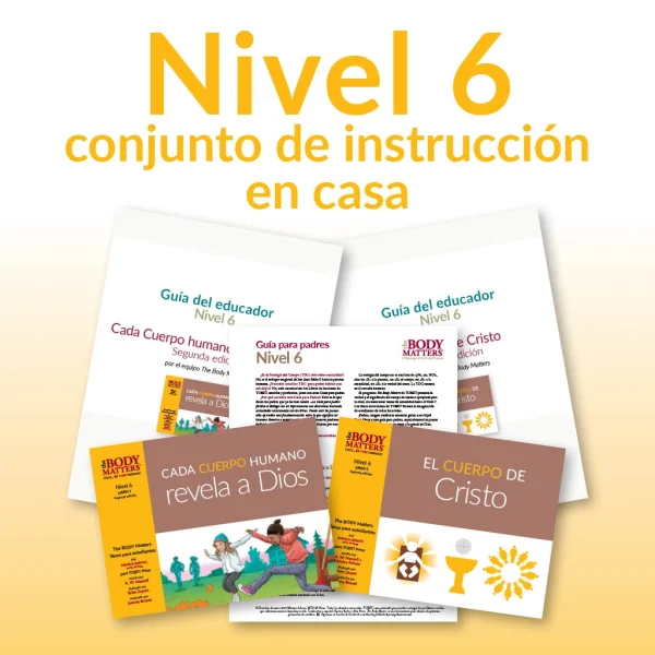 Nivel 6 conjunto de instrucción en casa
